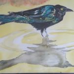 Grackle1