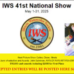 web banner