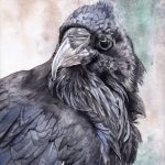 Raven-Study2