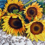 Sunshine-Bouquet_Neill_EM