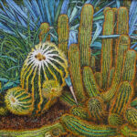 Cactus-Garden-