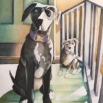 Catahoulas-of-NOLA1