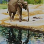 Judy_G_Elephant-Reflecting_2-1