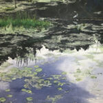 CASSANDRASWIERENGA1pondreflectionswithwaterlilies24x20