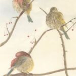 BillGotfryd2-Forlorn-Freezin-Finches-21X13