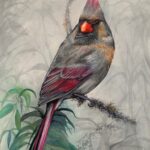 Lady-Cardinal2